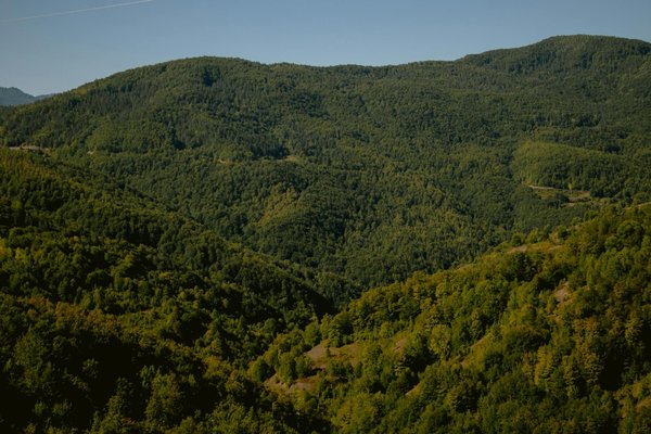 Perfectionner vos Compétences en Travail Social : Astuces et Stratégies Essentielles